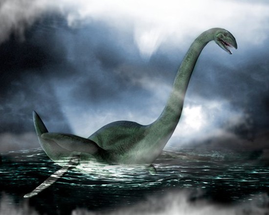 Xác động vật dạt vào bờ Loch Ness, nghi là quái vật huyền thoại ảnh 4