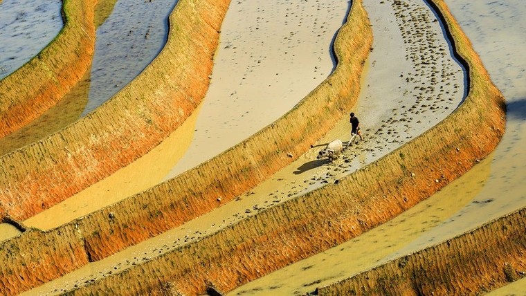 Tuyệt tác ruộng bậc thang Hoàng Su Phì mùa nước đổ ảnh 12