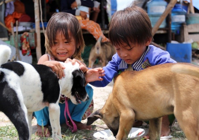 Cuộc mưu sinh của trẻ Việt kiều không quốc tịch bên hồ Dầu Tiếng ảnh 8