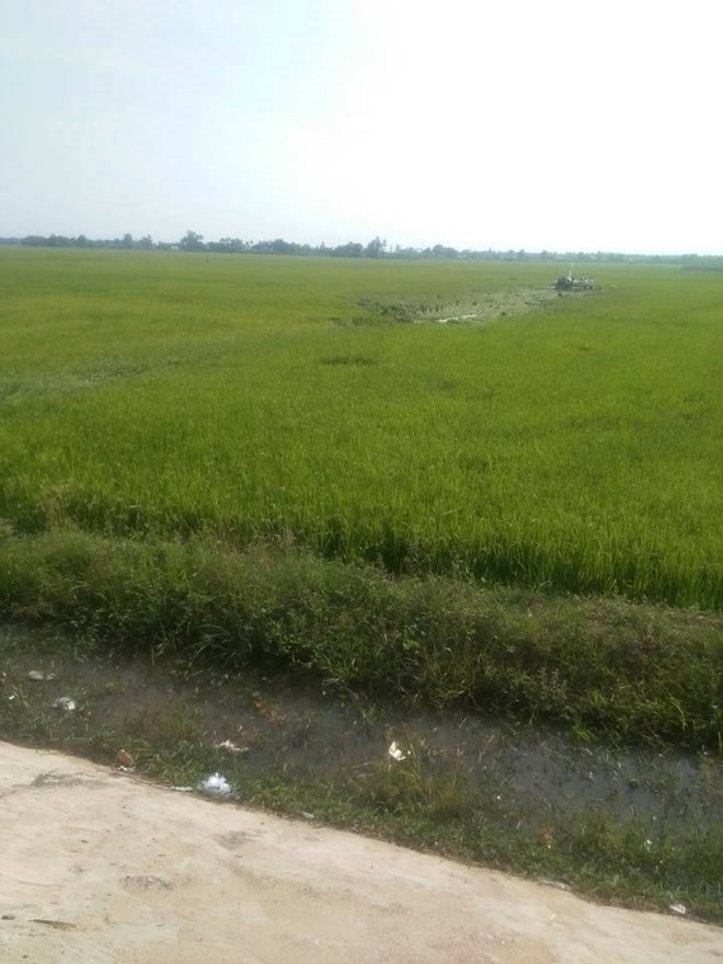 Rơi máy bay quân sự tại Phú Yên, một học viên phi công hy sinh ảnh 4