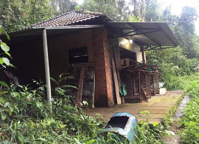 Gấu ngựa được cứu hộ sau hơn một thập kỷ trong lồng sắt ảnh 2