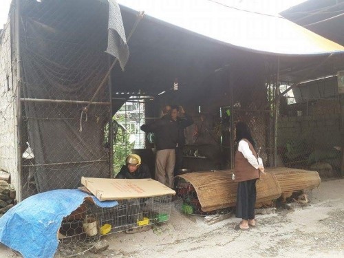 Camera giúp bắt sống trộm khỏa thân đột nhập chuồng gà ảnh 2