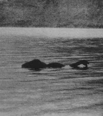 Thực hư bí ẩn về quái vật hồ Loch Ness ảnh 2