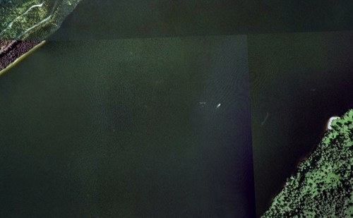 Thực hư bí ẩn về quái vật hồ Loch Ness ảnh 4