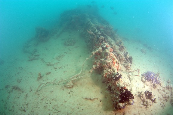 Hình ảnh chưa từng công bố xác máy bay sau 74 năm Trân Châu Cảng ảnh 4