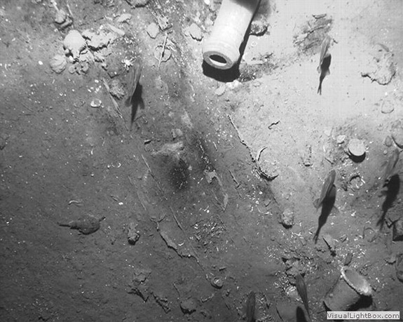 Tìm thấy xác tàu đắm chở theo hàng tỷ đô châu báu tại Colombia ảnh 4