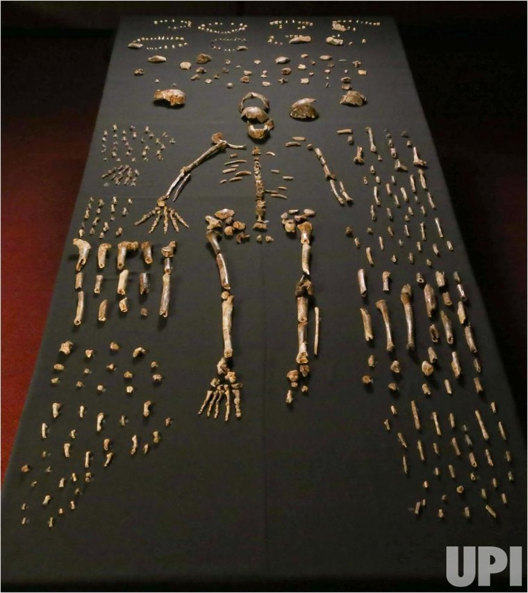 10 khám phá khoa học lớn nhất năm 2015 ảnh 1