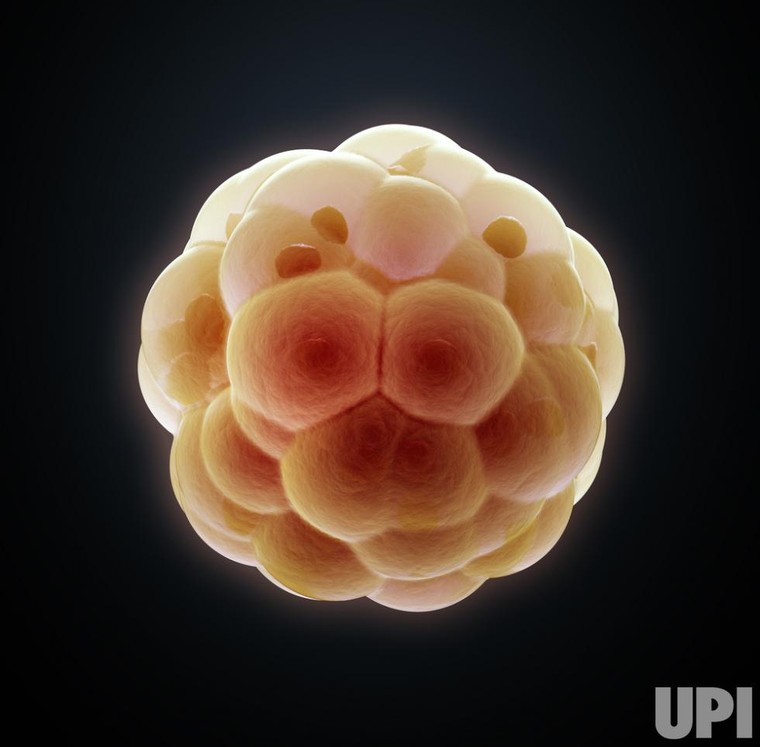 10 khám phá khoa học lớn nhất năm 2015 ảnh 2