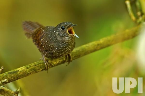 10 khám phá khoa học lớn nhất năm 2015 ảnh 3