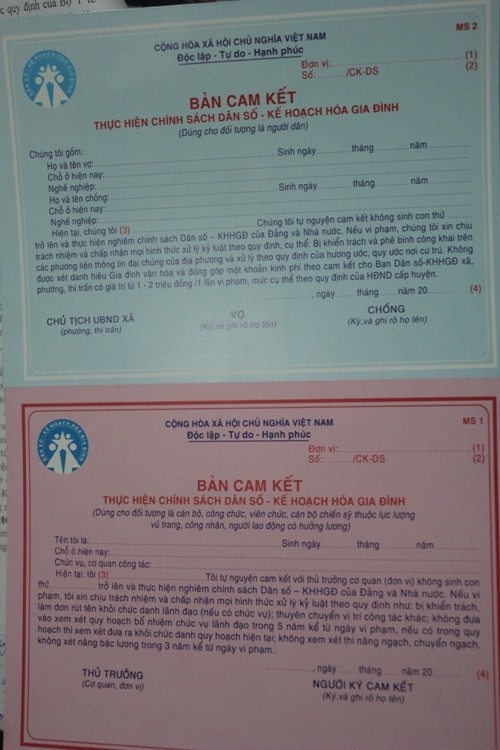 Nghệ An: Xóa quy định xử phạt người sinh con thứ 3 ảnh 2