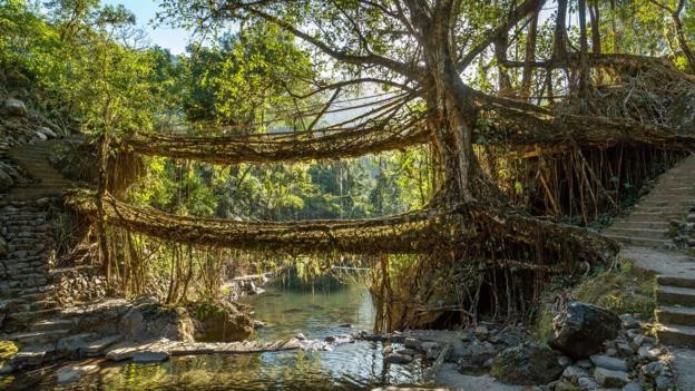 Khám phá cuộc sống ở ngôi làng mưa nhiều nhất hành tinh ảnh 6