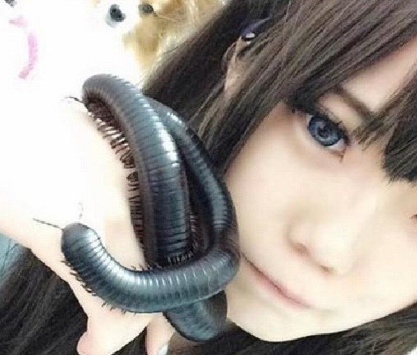 Hotgirl nuôi rết ‘khủng’ làm thú cưng xôn xao mạng xã hội ảnh 1