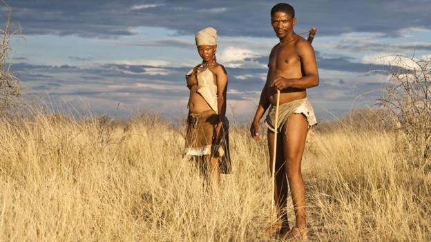 Vì sao con người lại hôn nhau mà các loài vật khác thì không ? ảnh 1