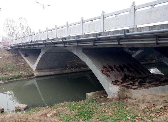 Rợn người phát hiện hơn 600 tấm da chó phơi dưới chân cầu ảnh 3