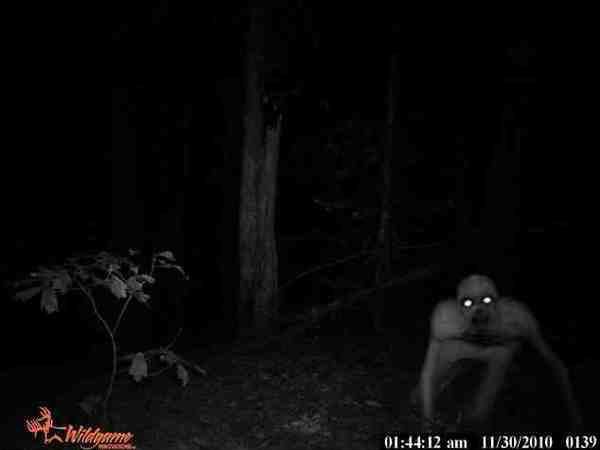 7 loài sinh vật bí ẩn và đáng sợ nhất hành tinh ảnh 1