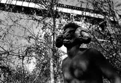 7 loài sinh vật bí ẩn và đáng sợ nhất hành tinh ảnh 8