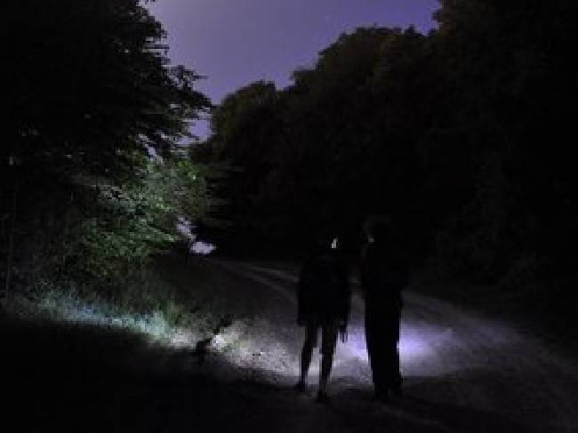 Cánh rừng ma quái ‘ăn thịt người’ kỳ bí nhất thế giới ảnh 1