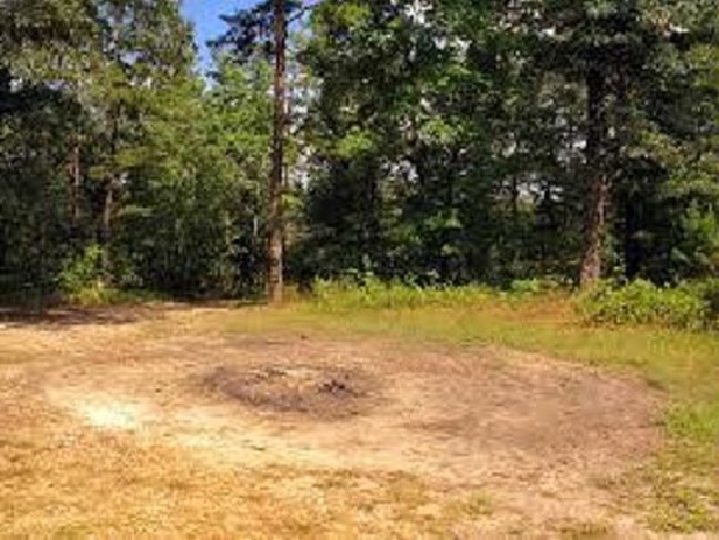 Cánh rừng ma quái ‘ăn thịt người’ kỳ bí nhất thế giới ảnh 3