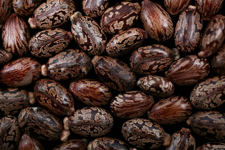 10 chất độc kinh khủng nhất trong lịch sử loài người (P2) ảnh 5