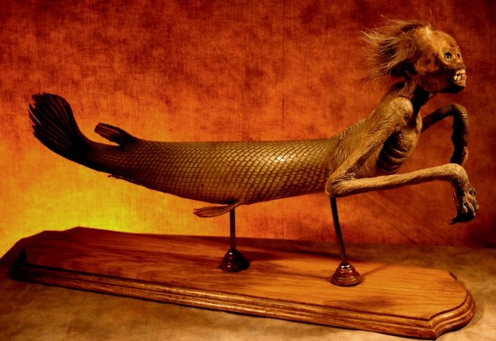 Bí ẩn về sự tồn tại của Nàng tiên cá trong lòng đại dương ảnh 4