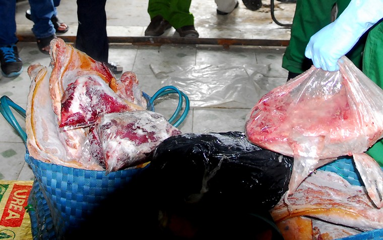 Bắt giữ hơn 2 tấn nầm lợn thối chuẩn bị lọt vào thị trường TP.HCM ảnh 2