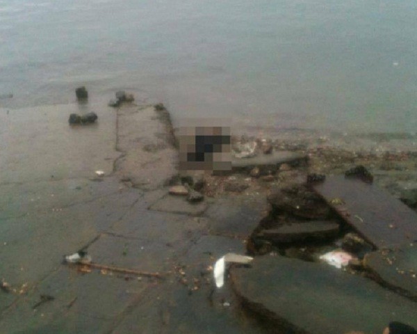 Bất ngờ nam thanh niên nhảy cầu Bãi Cháy tự tử ảnh 1