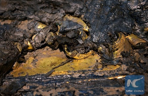 Phát hiện hàng trăm thỏi vàng bên trong mộ 2.000 năm ảnh 7