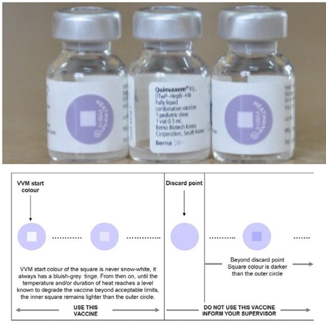 "Sốt" vắc xin 5 trong 1 dịch vụ: Đừng để con chết vì thiếu hiểu biết ảnh 1