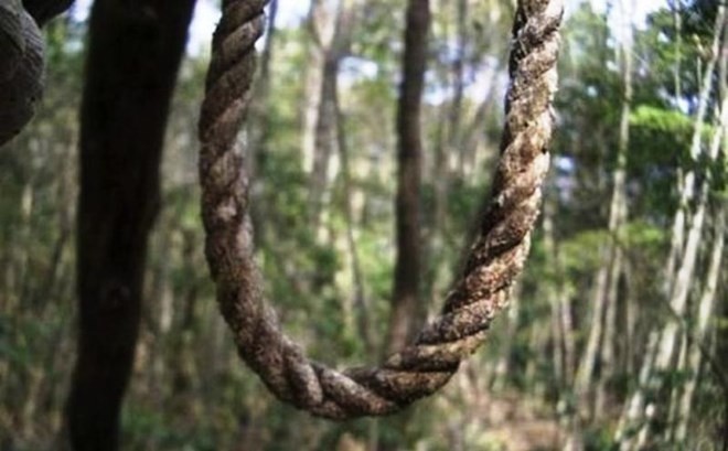 Lạnh gáy khu rừng hàng ngàn người ‘đua’ nhau vào tự sát ảnh 1