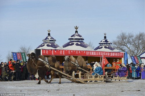 Lễ hội đua lạc đà độc đáo ở Mông Cổ ảnh 8