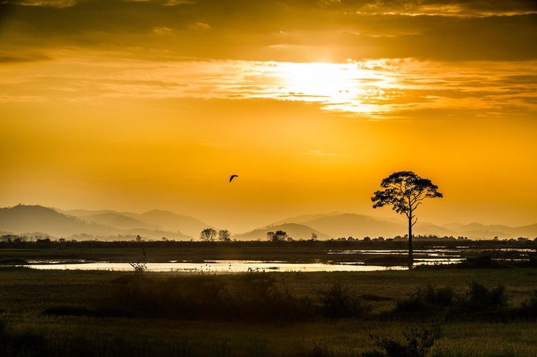 Thiên nhiên Việt Nam đa dạng qua ống kính nhiếp ảnh gia Pháp ảnh 3