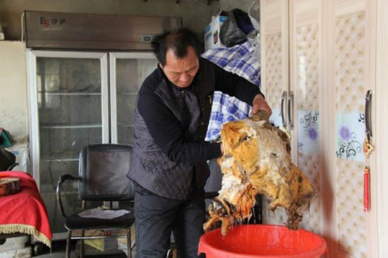 Nông dân đào trúng nấm quý giá 35 triệu đồng/kg ảnh 1