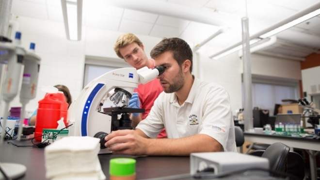 Giấc mơ Harvard và hàng loạt sinh viên tự tử vì áp lực ảnh 2