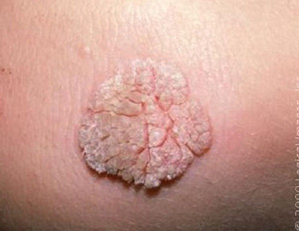 Trai tân 'liều' lái máy bay bà già khiến cùng kín 'nở 'tung' như hoa ảnh 2