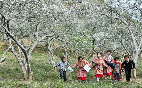 6 địa danh đẹp mê hồn chốn vùng cao đáng để đi dịp cuối năm ảnh 9