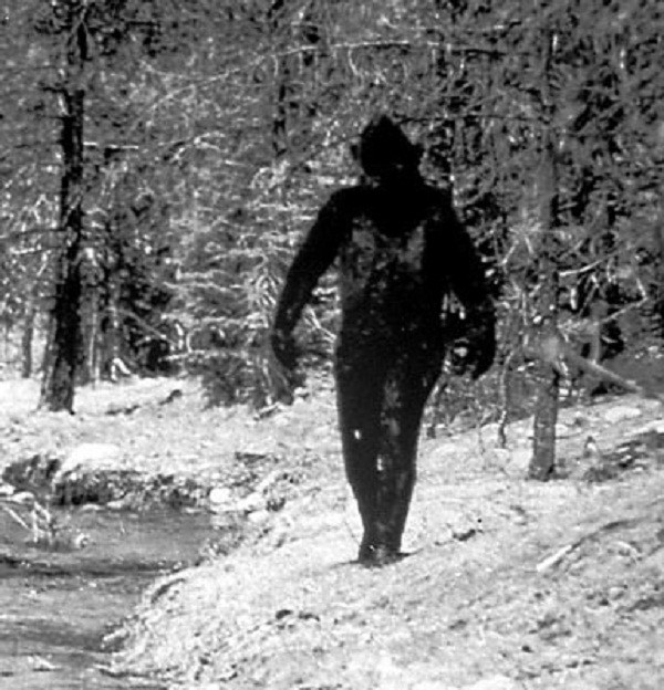 10 bí ẩn lạ lùng nhất thế giới chưa có lời giải ảnh 6