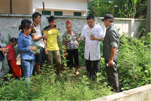 Gặp lương y miền sơn cước với bài thuốc dạ dày gia truyền ảnh 4