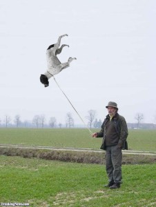 Những sự thật thú vị mà bạn chưa từng biết về Trái Đất ảnh 2