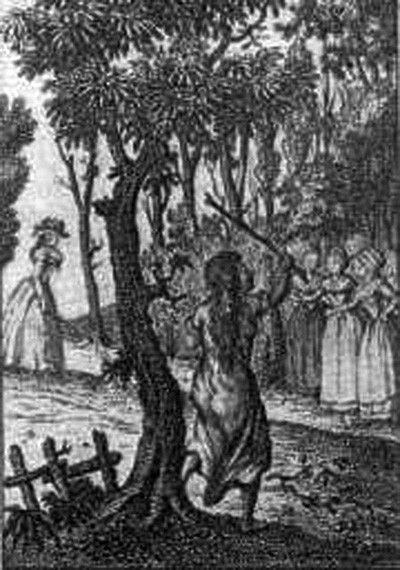 Bí ẩn về sự tồn tại của người rừng ảnh 1