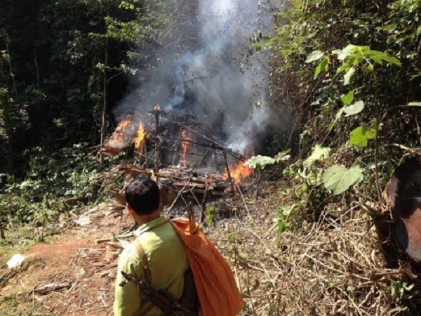 Nghệ An: 'Lâm tặc' tuyên bố dùng ‘luật rừng’ xử 2 lãnh đạo phòng hộ ảnh 1