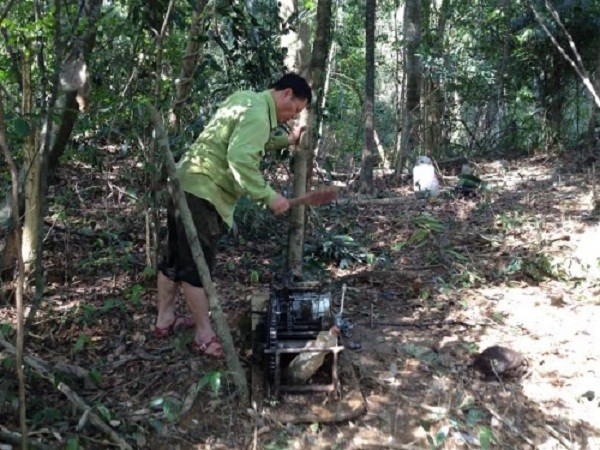 Nghệ An: 'Lâm tặc' tuyên bố dùng ‘luật rừng’ xử 2 lãnh đạo phòng hộ ảnh 2