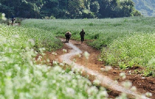 Dự báo thời tiết ngày 15/1: Miền Bắc rét lạnh dưới 13oC, có mưa phùn ảnh 1