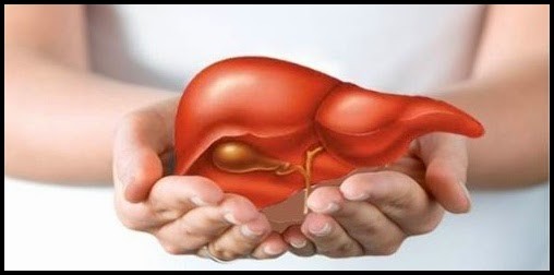 'Làm sạch' gan bằng 5 loại quả quen thuộc ảnh 1