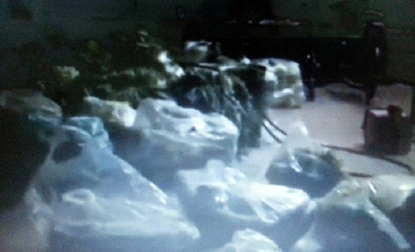 Mỗi ngày hàng ngàn kg rau bẩn đưa lên bàn ăn học sinh Hà Nội ảnh 3