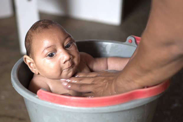 Trường hợp bệnh đầu nhỏ do muỗi đầu tiên ở Mỹ Latinh ảnh 1