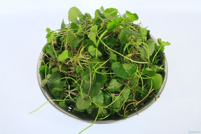 Giật mình trước những 'tác dụng phụ' đáng sợ của rau má ảnh 1