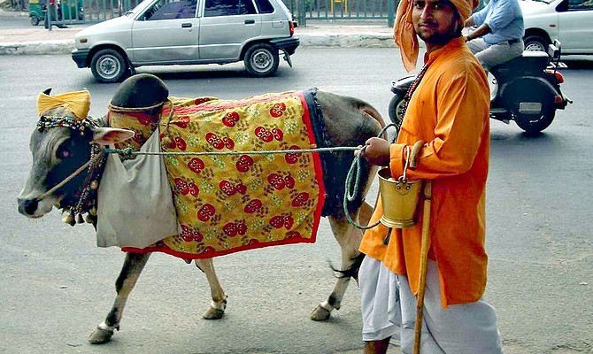 Những nguyên tắc kỳ lạ bắt buộc phải biết khi du lịch Ấn Độ ảnh 3