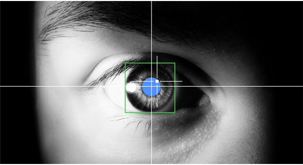 20 sự thật bạn chưa từng biết về đôi mắt ảnh 5