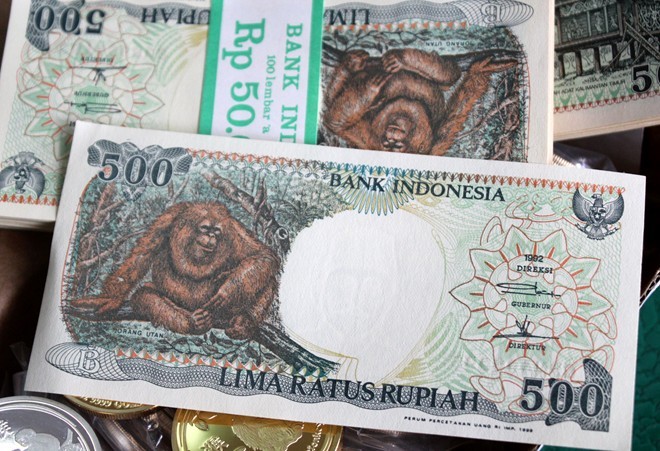 TP.HCM: Phát sốt loạt tiền hình khỉ mừng năm mới 2016 ảnh 9