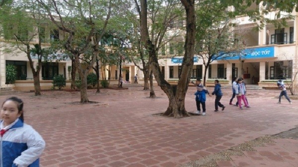 Vụ rau bẩn lên bàn ăn học sinh ở Hà Nội: 'Chúng cháu sợ lắm' ảnh 2